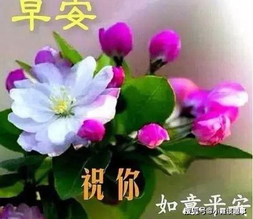 大家早上好温馨祝福壁纸新的一天阳光早晨暖心问候早安心语句子