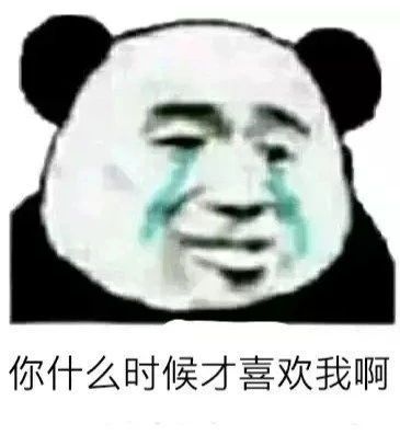 最新热门可爱搞笑表情包图片别念啦,小孩子不能看