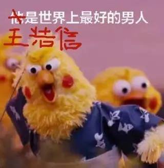 盲侠gogo帝都合体撒狗粮,为什么今年首部豆瓣八分港剧这么火