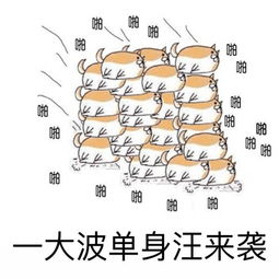 单身汪必杀技,反虐技能get