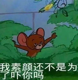 搞笑表情丨放送一期热门猫和老鼠表情包90后老阿姨蜀黍来收图吧
