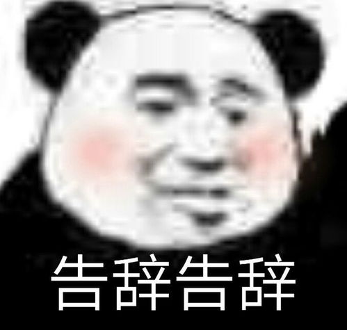 2022.4.07更新超逗超搞笑熊猫头表情包