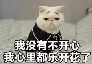 油价涨了上海最新打折加油站名单,加油去这些地方更省钱