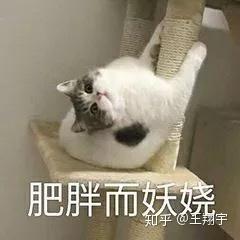 女生说不生气的时候是生气还是不生气,怎样判断女生真的不生气了