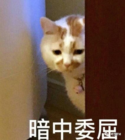 中国版绯闻女孩即将开拍峨眉山跳崖女孩遗书曝光