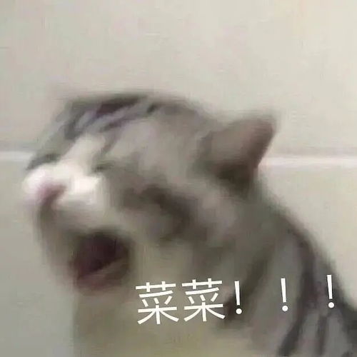长痘痘表情包搞笑图片沙雕
