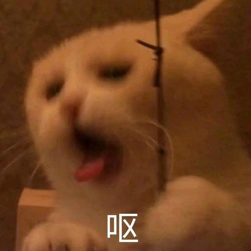 今天起,这个要收费了