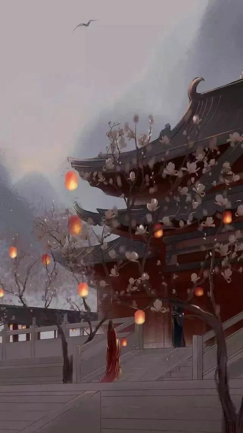 收藏已久的言情小说