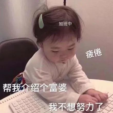 表情包文案搞笑赘婿