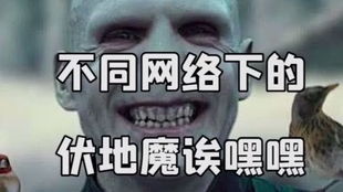 哈利波特当还原老伏的诶嘿嘿
