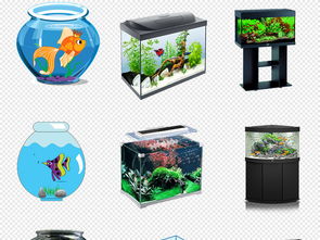 观赏卡通手绘透明水族馆鱼缸金鱼背景png图片素材模板下载84.38mb办公商务大全生活工作