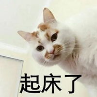 刚睡醒懵的图片