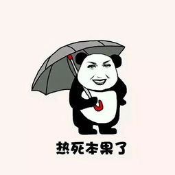 走一次红毯被制成表情包恶搞五年,katyperry应该万万也没想到