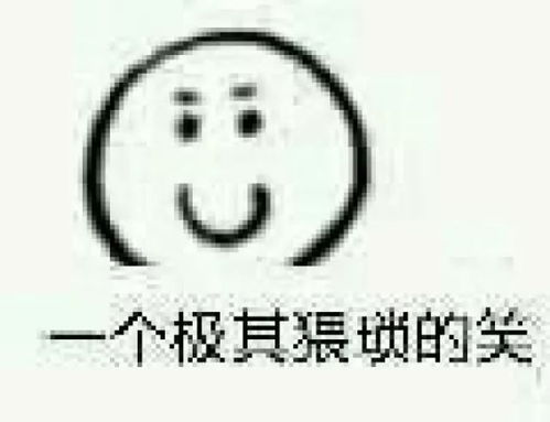 后羿回家玩qq飞车