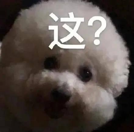 热门表情包还有谁能管得住我