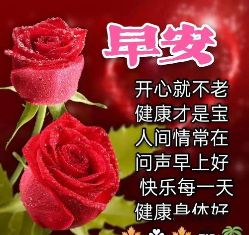 创意的鲜花早上好早安表情图片,问候让人开心,开心就不会老
