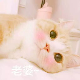 头像有女朋友的赶紧换上