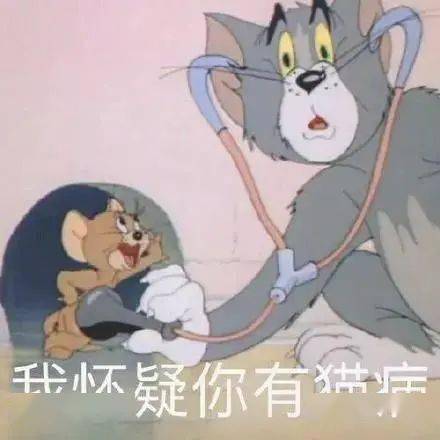 搞笑沙雕表情包真是乌龟办走读,鳖不住校了