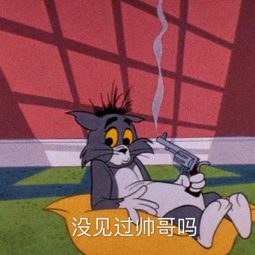 搞笑gif今天抱着我家的狗,叫了一上午的妈妈