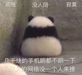 招新学习调研部用最真挚的感情述说最好的学调