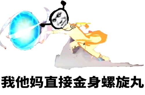 火影搞笑表情包13