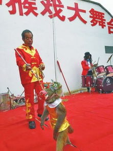 猴子可爱卡通头像新野猴戏