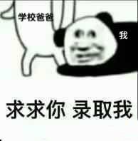 被录取祝贺表情包