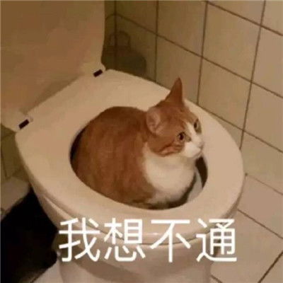 最新超级幽默的有意思的可爱表情爆笑的有趣的微信表情包