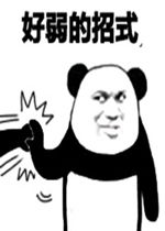 暴走熊猫