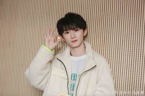 tnt时代少年团马嘉祺代表作马嘉祺的不染出自哪里