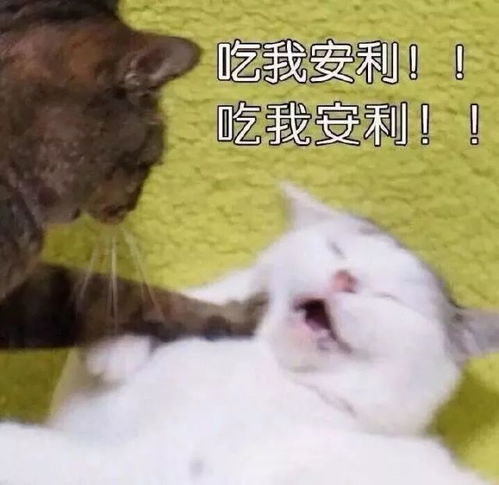 只有5天了珍惜最后有手的日子
