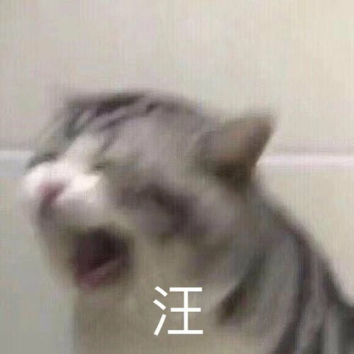 搞笑表情包沙雕图片海绵宝宝