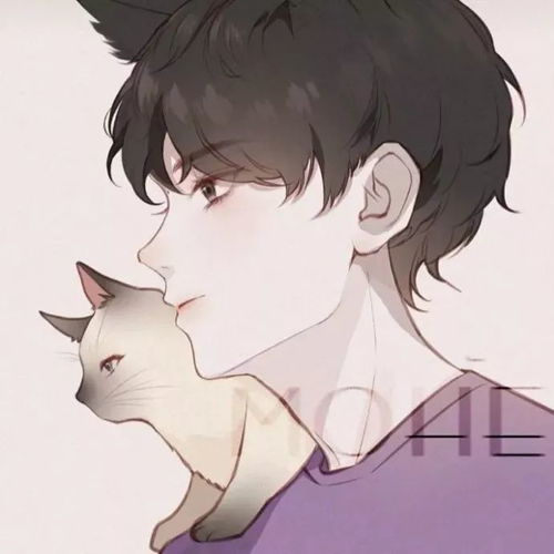 动漫男头1丨很难找到的头像,点进不亏