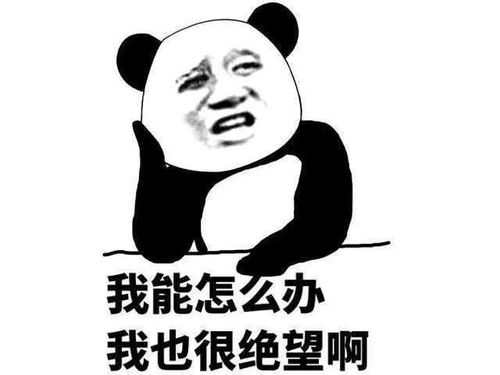 好搞笑的表情包滑稽