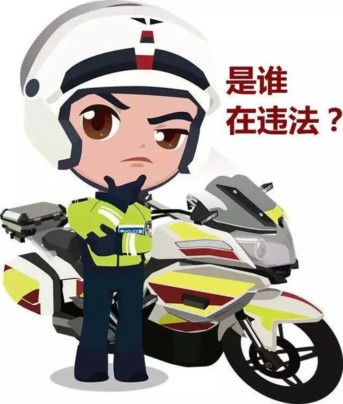 花式遮挡号牌后果都一样