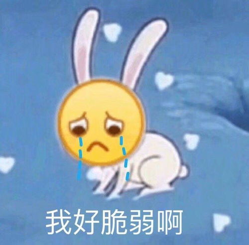 如何可以上广西师范大学汉语言文学国家基地,现在一本线徘徊的广西考生