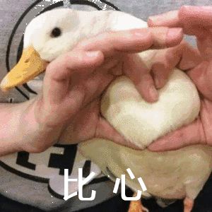 今年开学季这拨新生的名字,比往年更令老师发指