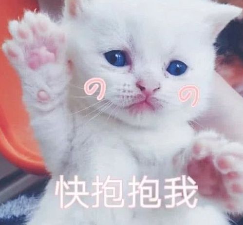 幽默笑话,我想成为妈妈,因为变成妈妈就能揍爸爸了