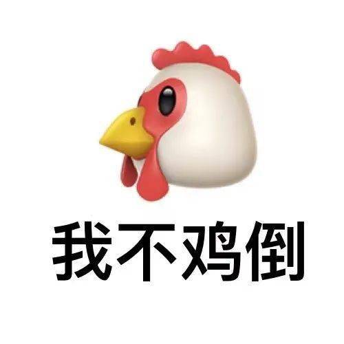 你鸡道吗