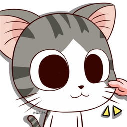 甜甜私房猫卡通头像可爱2018超萌的甜甜私房猫小奇头像图片