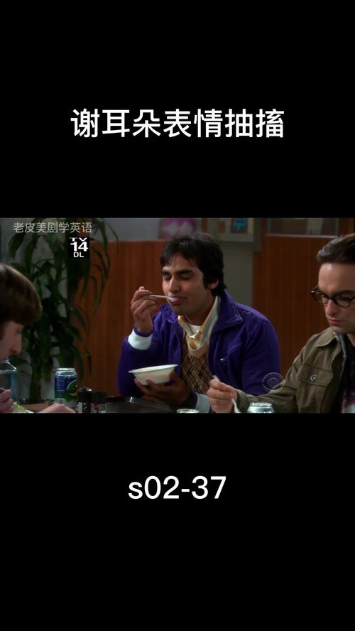 s0237,生活大爆炸第二季,谢耳朵表情抽搐,每天一部美剧学英语
