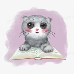 看书的小灰猫卡通元素png图片素材免费下载psd格式熊猫办公