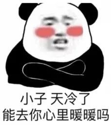 猫咪可爱表情包动态罗文姬表情包表情包沙雕表情包大全