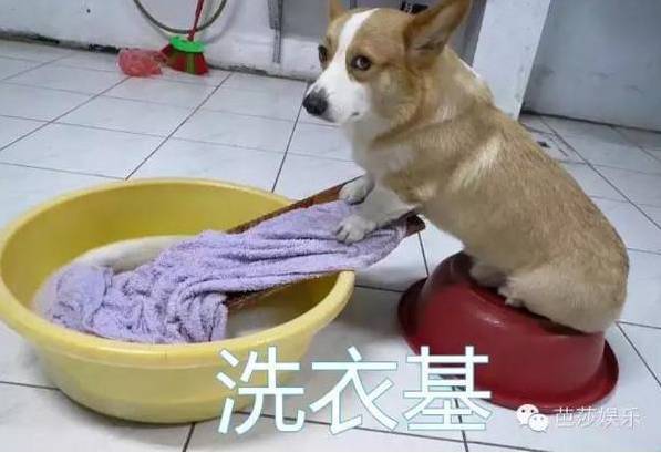 洗衣机盖子是开着好还是关着好做错了,麻烦就大了