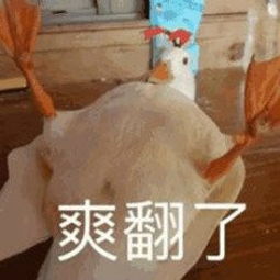 谷谷鸭特报龙之谷竟然要开始卖房了