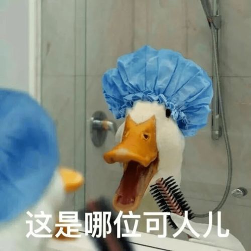 搞笑表情包