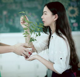 武汉求婚如何用数字告白求婚