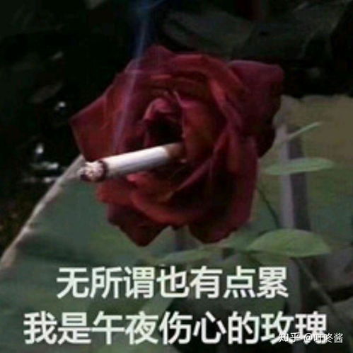 有哪些憨憨朋友圈文案让人看一次笑一次