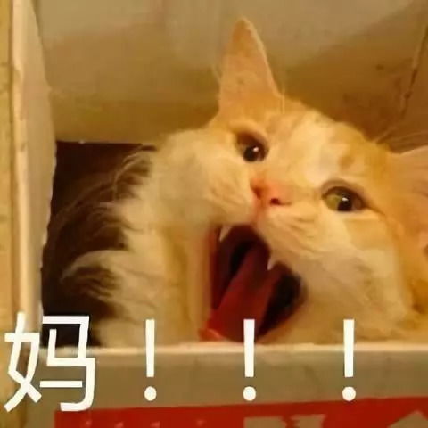开学半个多月了还不知道娃在哪上学,你们家孩子是充话费送的吗