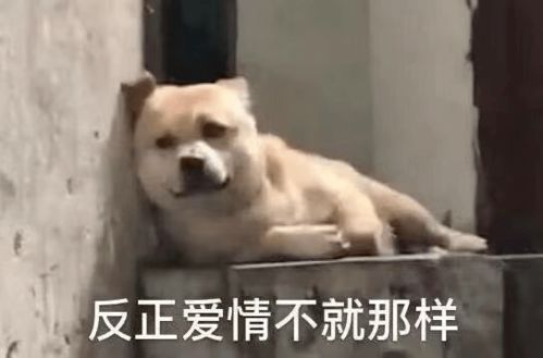 名校海归学霸一日女友发言引争议,留学生我们谈恋爱真不这样